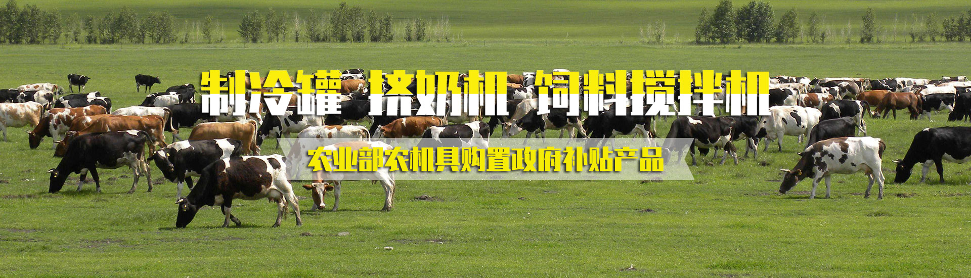 午夜影院污污污机械